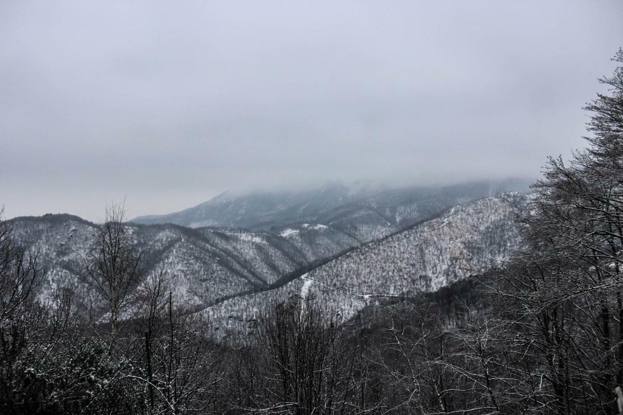 B&B Pian Savin 기아베노 외부 사진